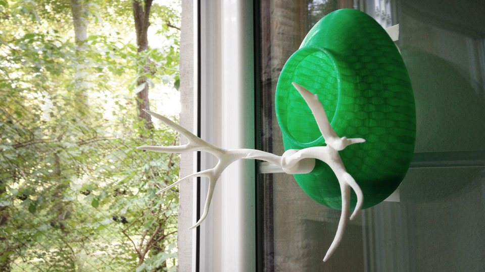 The project intended to create a worldwide network of bird feeders through 3...