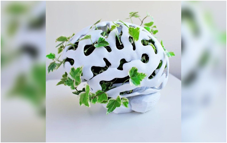 Flyve drage Særlig kravle Growing A 3D Printed Garden « Fabbaloo