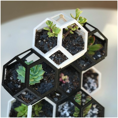 Planting Seeds In 3D Printed Planters Help Us Sprout Into Action
