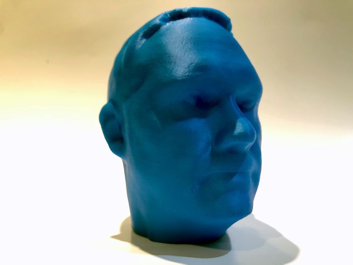 of the Week: 3D Life-Size Heads « Fabbaloo