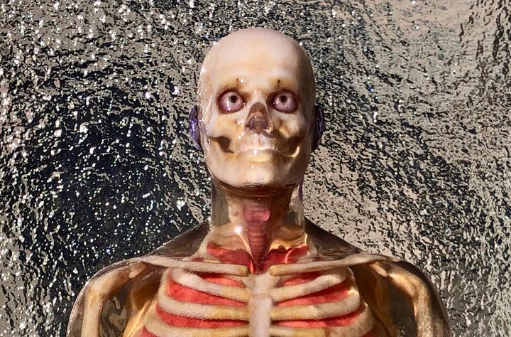 Examining Mixed Dimension’s Anatomical 3D Prints