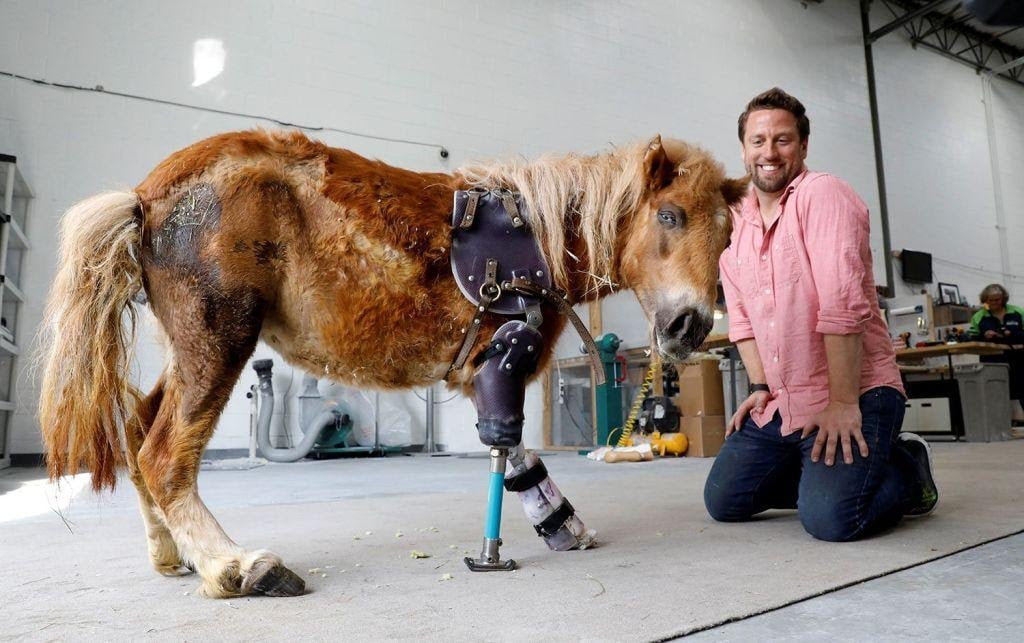 Designing Prosthetics For Animals