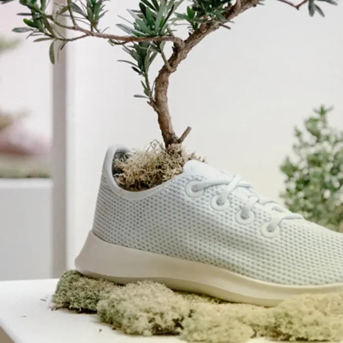 Allbirds’ IPO and 3D Printing: For the Birds?