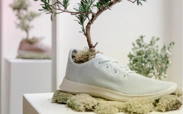 Allbirds’ IPO and 3D Printing: For the Birds?
