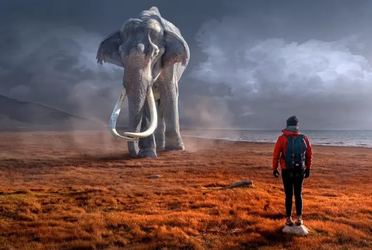 Who’s The Biggest In 3D Printing, October 10, 2021