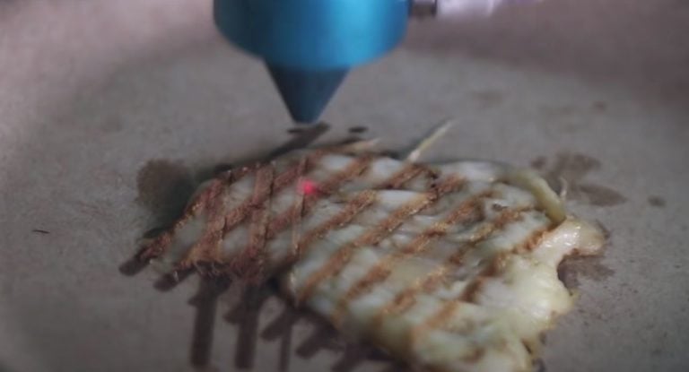 3D Printed Broiled Chicken Research Points to Improved Print Quality