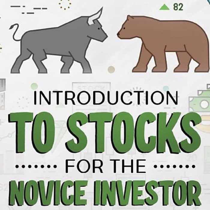 Book of the Week: Introduction to Stocks for the Novice Investor