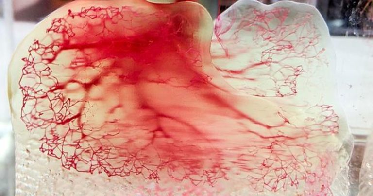 3D Systems’ Pivot Towards 3D Bioprinting
