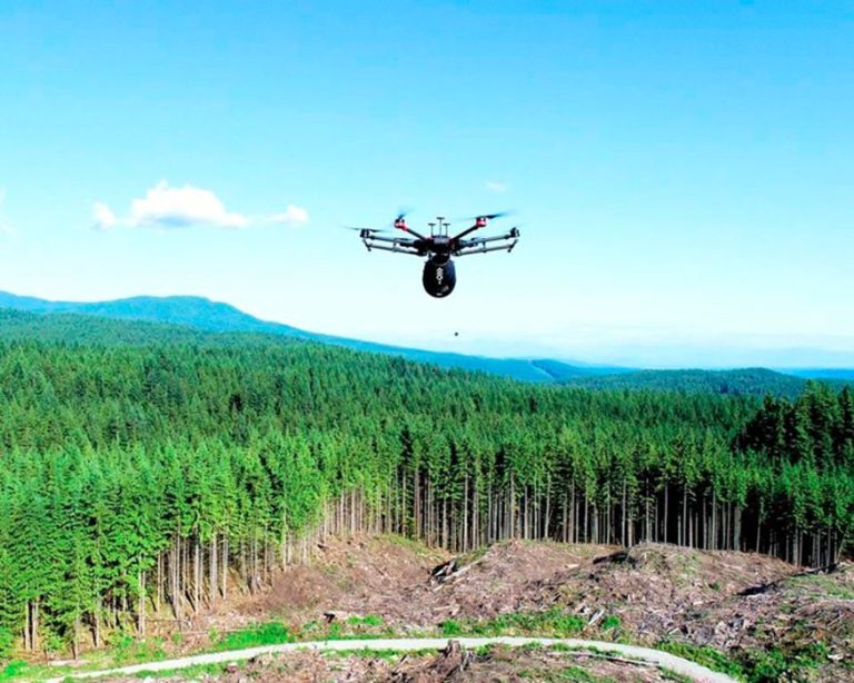 Global Drone Reforestation and 3D Printing