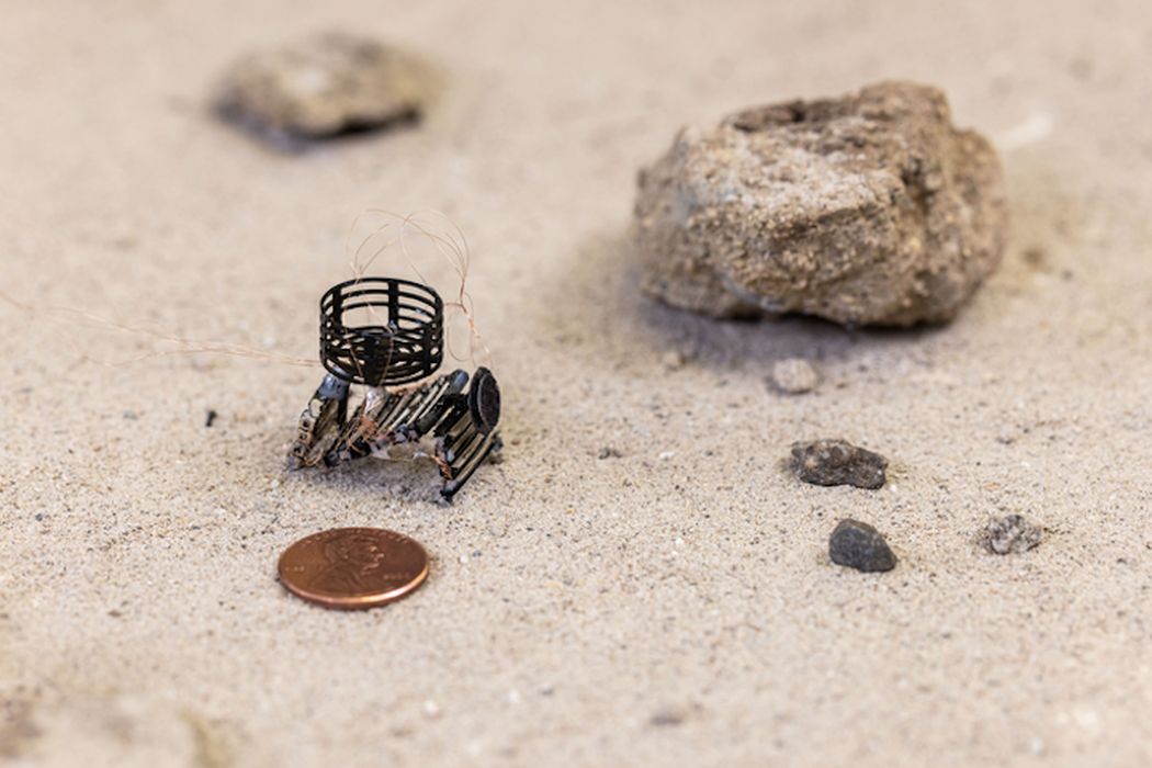 Research Breakthrough Enables One-Step 3D Printed Robots