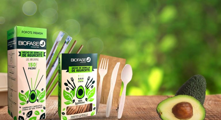 Mexican Company Develops Biodegradable Plastic Using Avocado Seeds