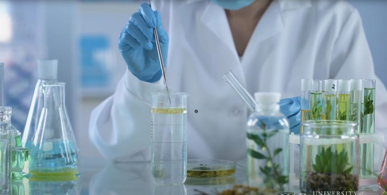 How 3D Bioprinting Offers Hope Against Climate-Induced Extinctions
