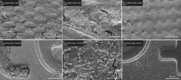 Study Demonstrates Complete Natural Breakdown of Bio-Based Polymer
