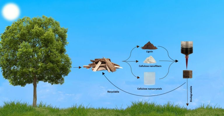 Eco-Friendly 3D Printing Breakthrough with All-Wood Material