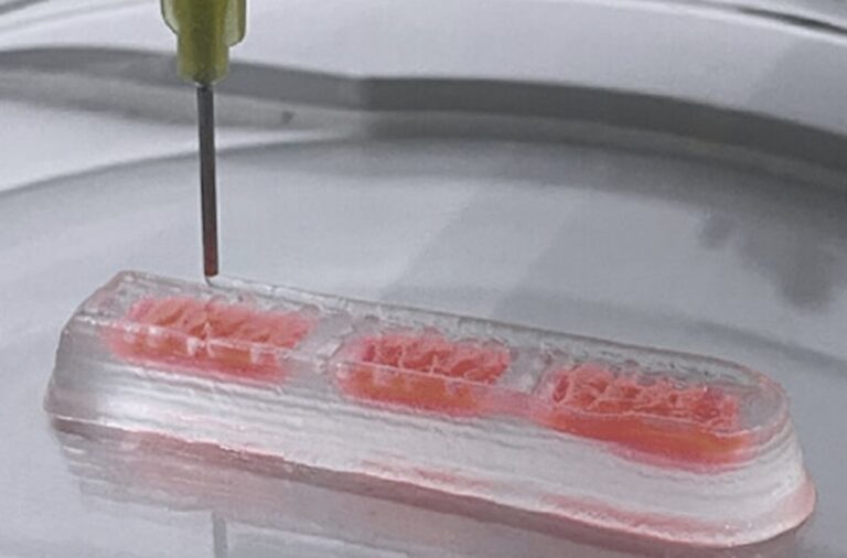 Innovative Direct Ink Writing Method Allows Variable Softness in 3D Printed Objects