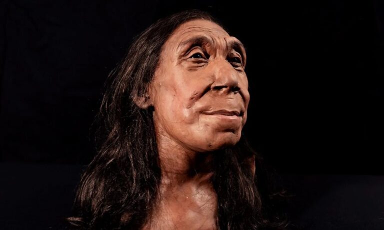 Design of the Week: Neanderthal Woman