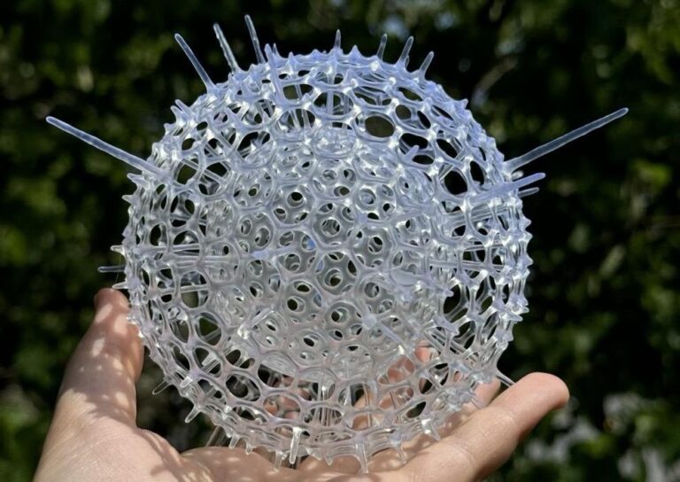 Design of the Week: Radiolarian Print