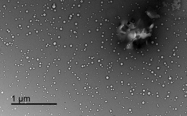 New Research Identifies Promising Solutions to 3D Printing’s Microplastic Waste Problem