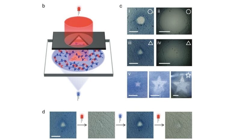 New Antagonistic Light Approach Could Boost Accuracy in Microscale 3D Printing