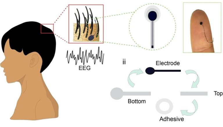 Researchers Develop Nearly Invisible 3D-Printed EEG Electrodes for Comfortable Long-Term Use