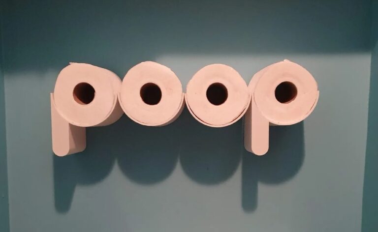 Design of the Week: Poop Shelf