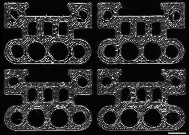 Researchers Discover Unique ‘Fingerprints’ in 3D Printed Parts Using AI