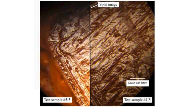 Forensic Tracing of 3D Printed Parts to Specific Printers Unlikely to be Practical
