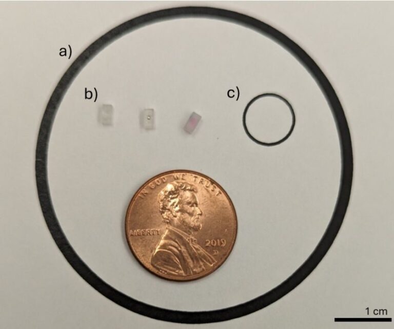 New 3D Printed Microbots Use Magnets and Ultrasound for Precise Drug Release