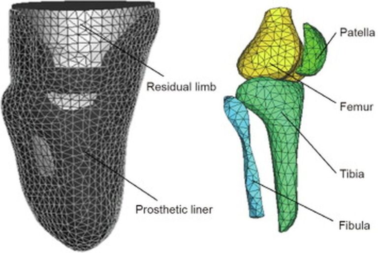 L-Codes for Additive Manufacturing: Recognizing 3D Printed Prosthetics and Orthotics
