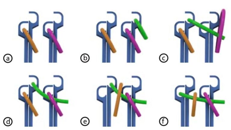 Solid Knitting Breakthrough: Cornell Team Builds Machine for 3D Knitted ...