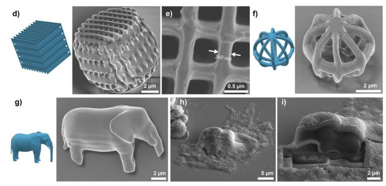 Two Photon Printing Microdevices Inside Living Cells
