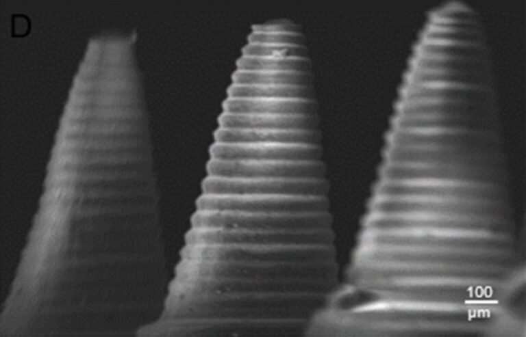 3D Printed Dissolving Microneedles