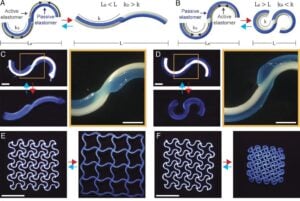 Rotational 3D Printing Can Create Programmable Shape Morphing Lattices