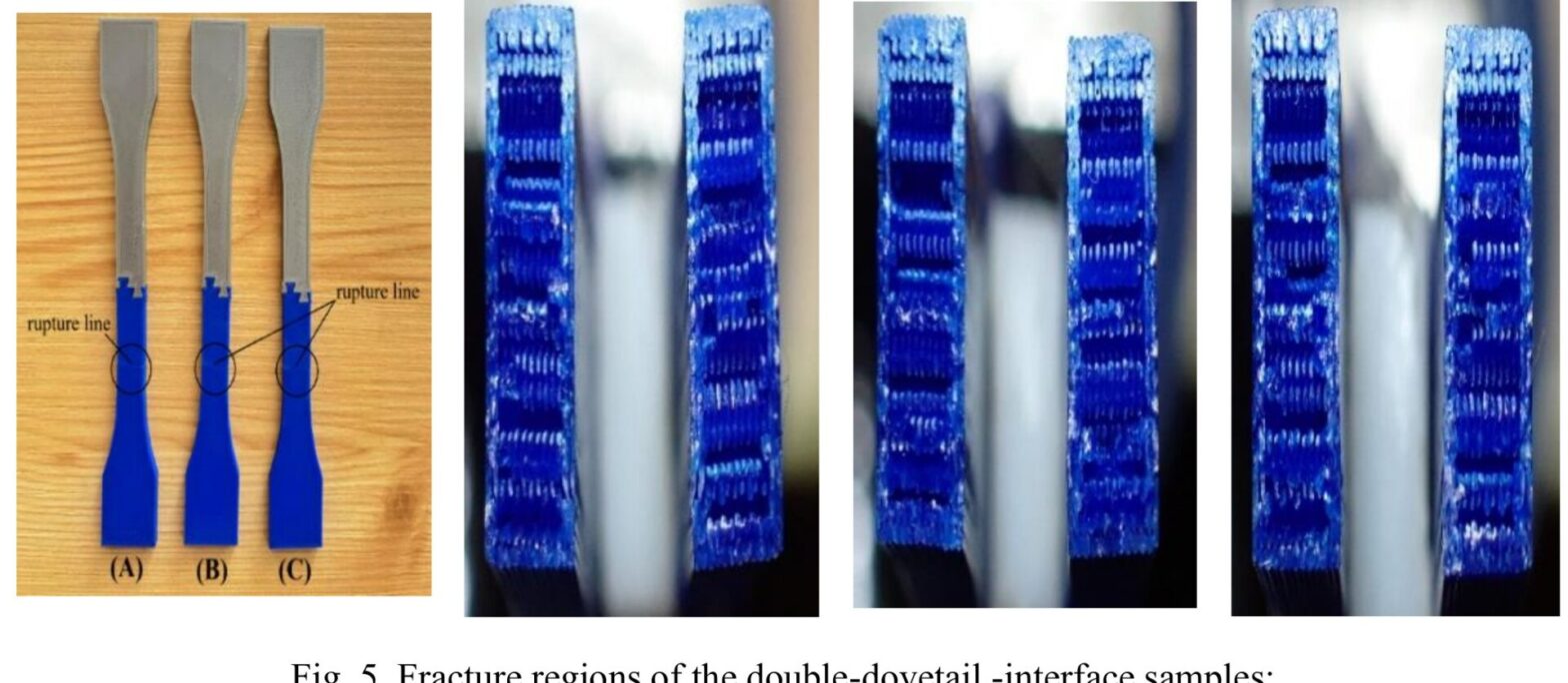 Photographs of fractured double-dovetail bicomponent 3D-printed tensile specimens, showing the blue and gray materials and the fracture regions.