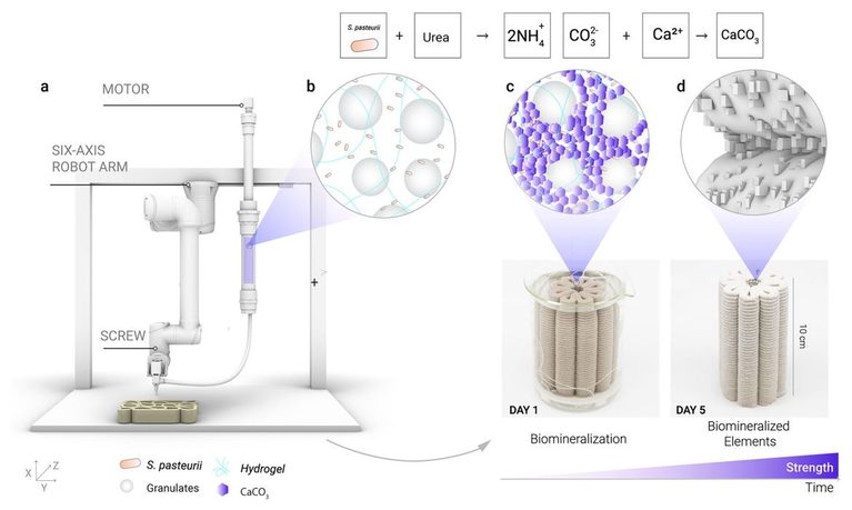ETH Zurich Uses Bacteria To Cement 3D Printed Sand Structures