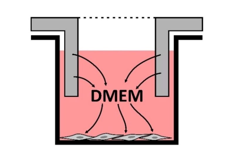 Study Finds Some 3D Printer Filaments Can Affect Skin Cells « Fabbaloo